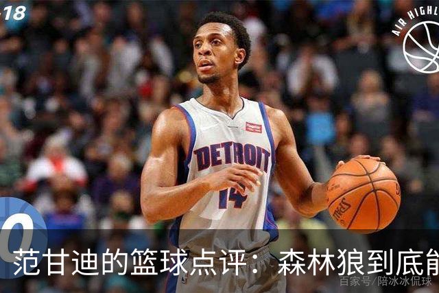 范甘迪的篮球点评：森林狼到底能飞多高？